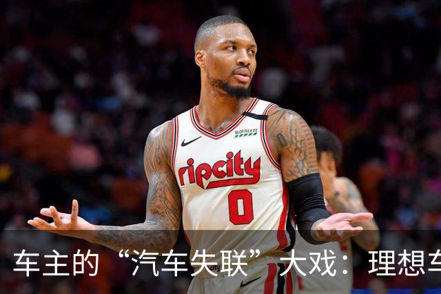 车主的“汽车失联”大戏：理想车控权限神秘失踪